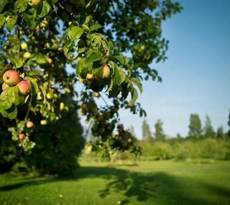 Ahlstromin Ruukki 3* Pori