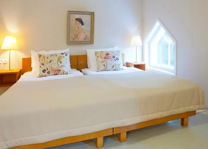 Ahlstromin Ruukki 3* بوري