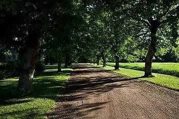 Ahlstromin Ruukki 3* بوري