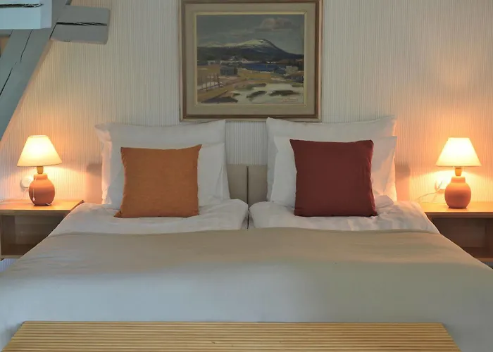 Ahlstromin Ruukki 3* بوري